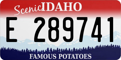 ID license plate E289741