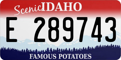 ID license plate E289743