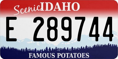 ID license plate E289744