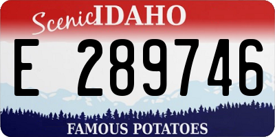 ID license plate E289746