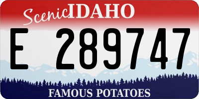 ID license plate E289747