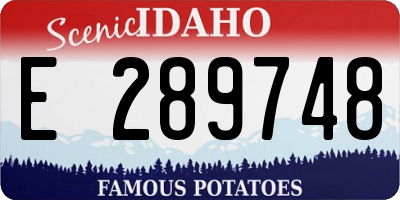 ID license plate E289748