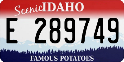 ID license plate E289749