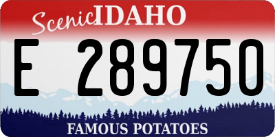 ID license plate E289750