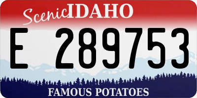 ID license plate E289753