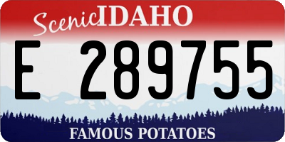 ID license plate E289755