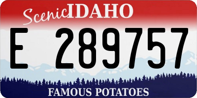 ID license plate E289757