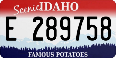 ID license plate E289758