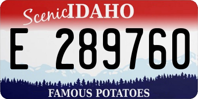 ID license plate E289760