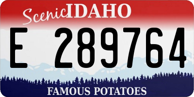ID license plate E289764