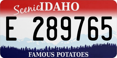 ID license plate E289765
