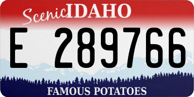 ID license plate E289766