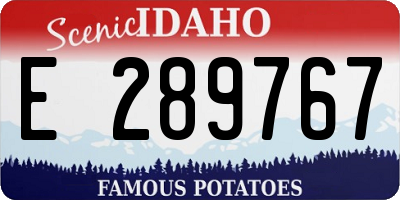 ID license plate E289767