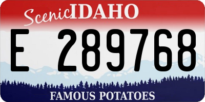 ID license plate E289768