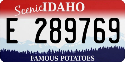 ID license plate E289769