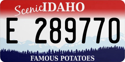 ID license plate E289770