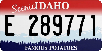 ID license plate E289771