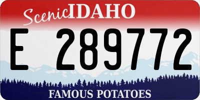 ID license plate E289772