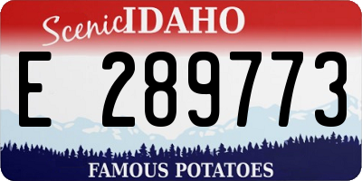 ID license plate E289773