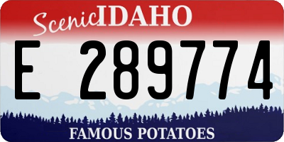 ID license plate E289774