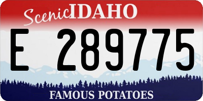 ID license plate E289775
