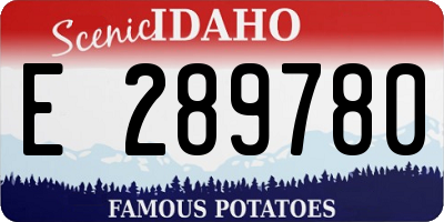 ID license plate E289780