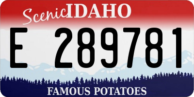 ID license plate E289781
