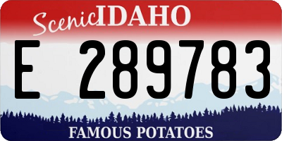 ID license plate E289783