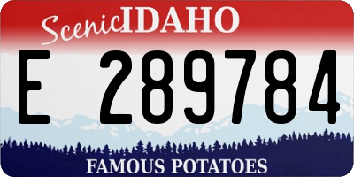 ID license plate E289784