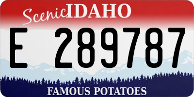 ID license plate E289787