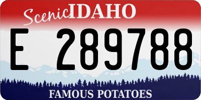ID license plate E289788