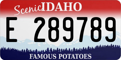 ID license plate E289789