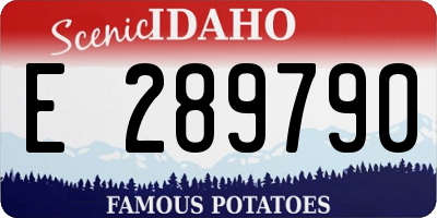 ID license plate E289790