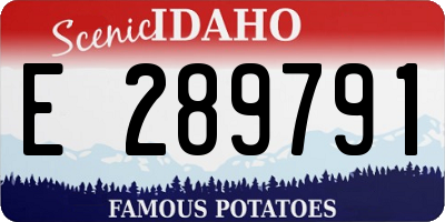 ID license plate E289791