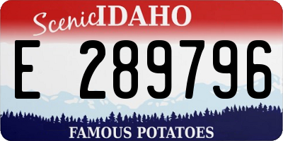 ID license plate E289796