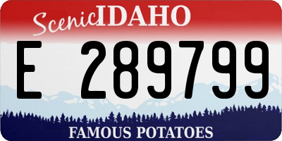 ID license plate E289799