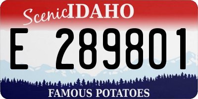 ID license plate E289801