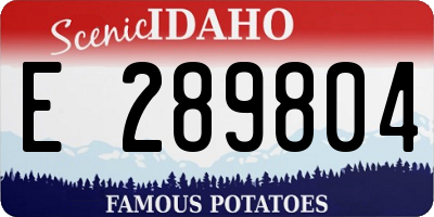 ID license plate E289804