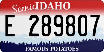 ID license plate E289807