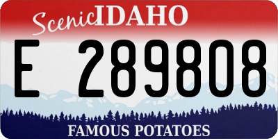ID license plate E289808