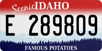 ID license plate E289809