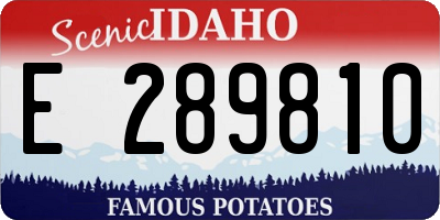 ID license plate E289810
