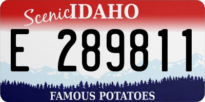 ID license plate E289811