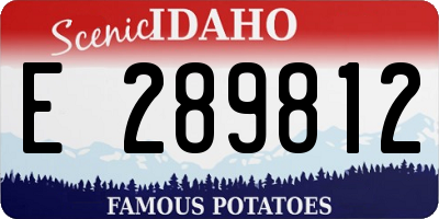 ID license plate E289812