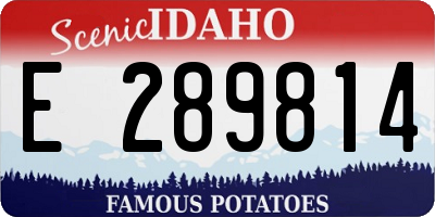 ID license plate E289814