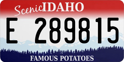 ID license plate E289815