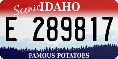 ID license plate E289817