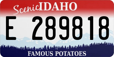 ID license plate E289818