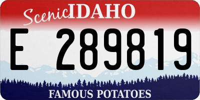 ID license plate E289819