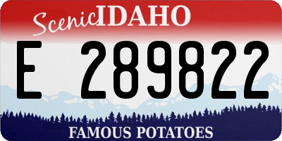 ID license plate E289822
